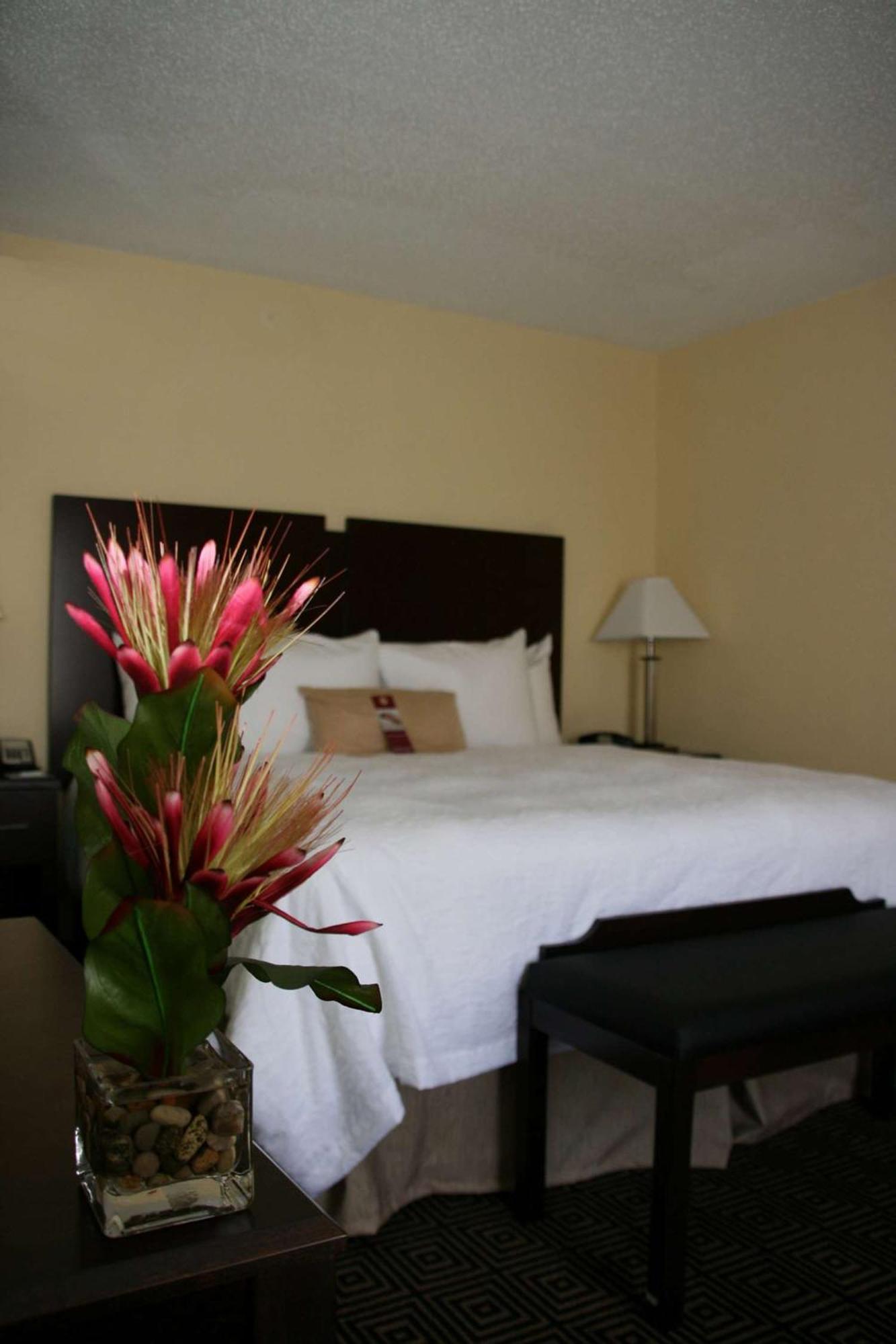 Hampton Inn & Suites Orlando-John Young Parkway/South Park Luaran gambar